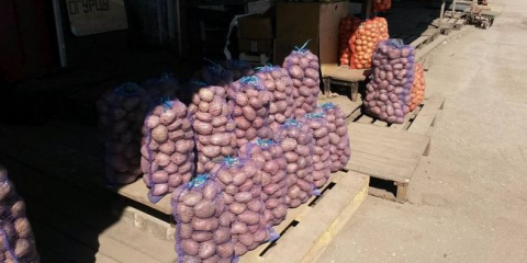 Ukazatele (prognóza): ceny brambor v roce 2021